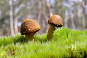 世界拳击退役运动员就业扶持平台新增企业合作案例公示，拳击运动员退役后有无后遗症